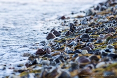 140902wk_lue_00507-900px-NEB-Nur-ein-Stein-im-Wasser