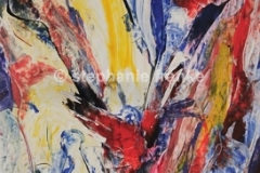 Bild (13)