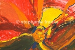Bild (18)