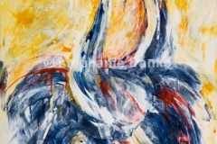Bild (5)