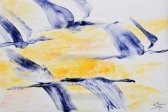 Bild (9)
